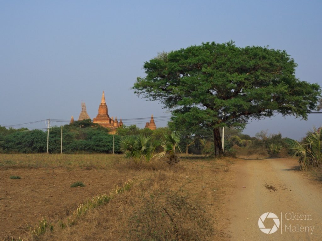 drogi Baganu